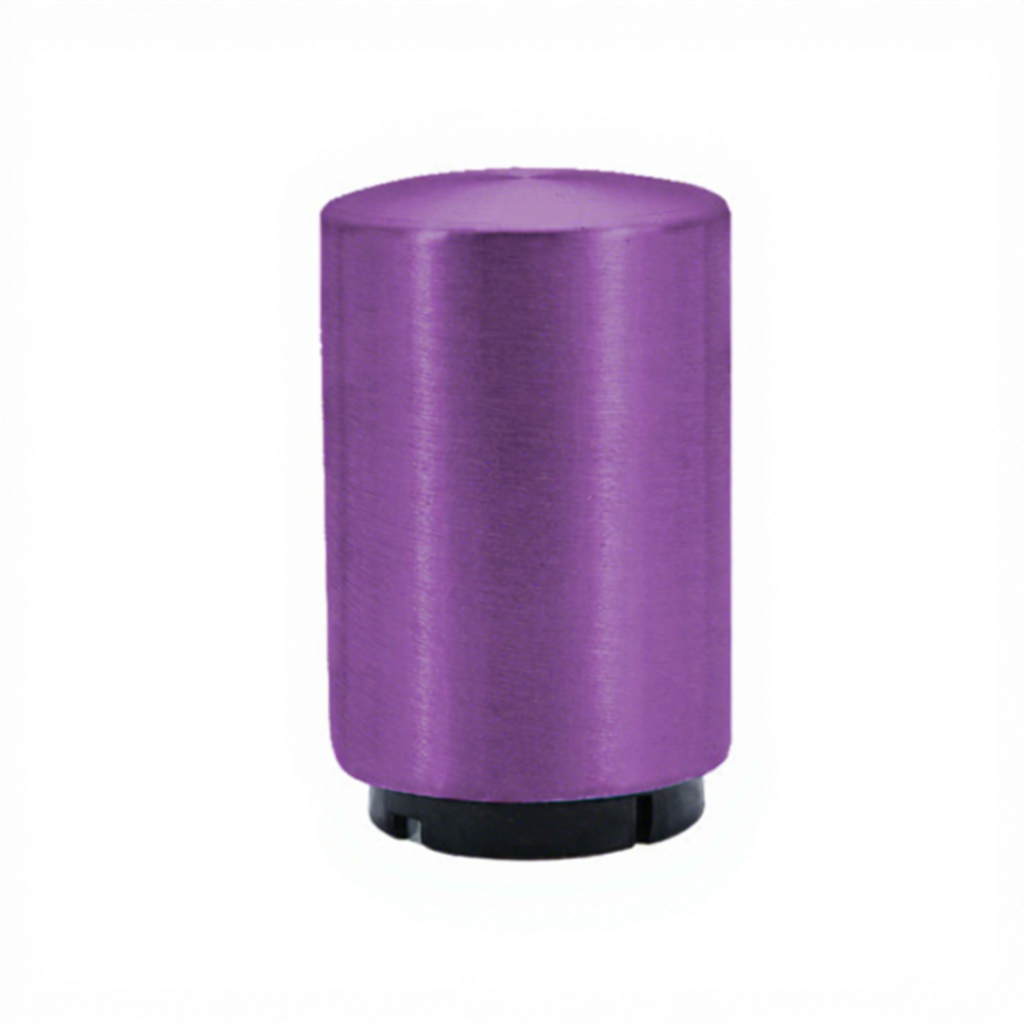 Pourpre