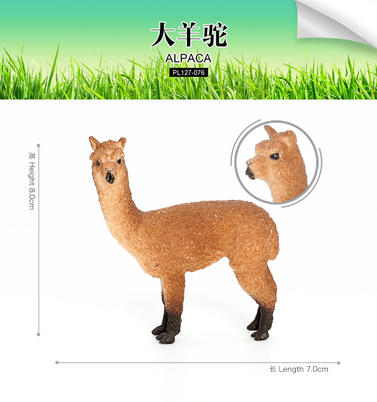 076 Alpaca