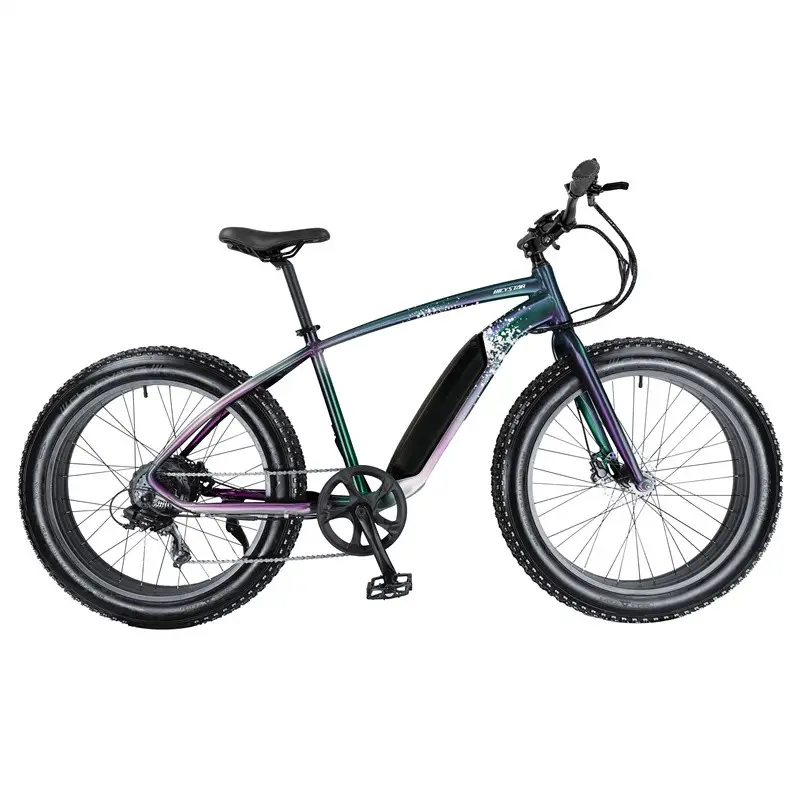 High Powerful 48V Lithium Battery and 500W 750W 1000W Mid Drive Motor Fat Tire Mountain Electric Bike