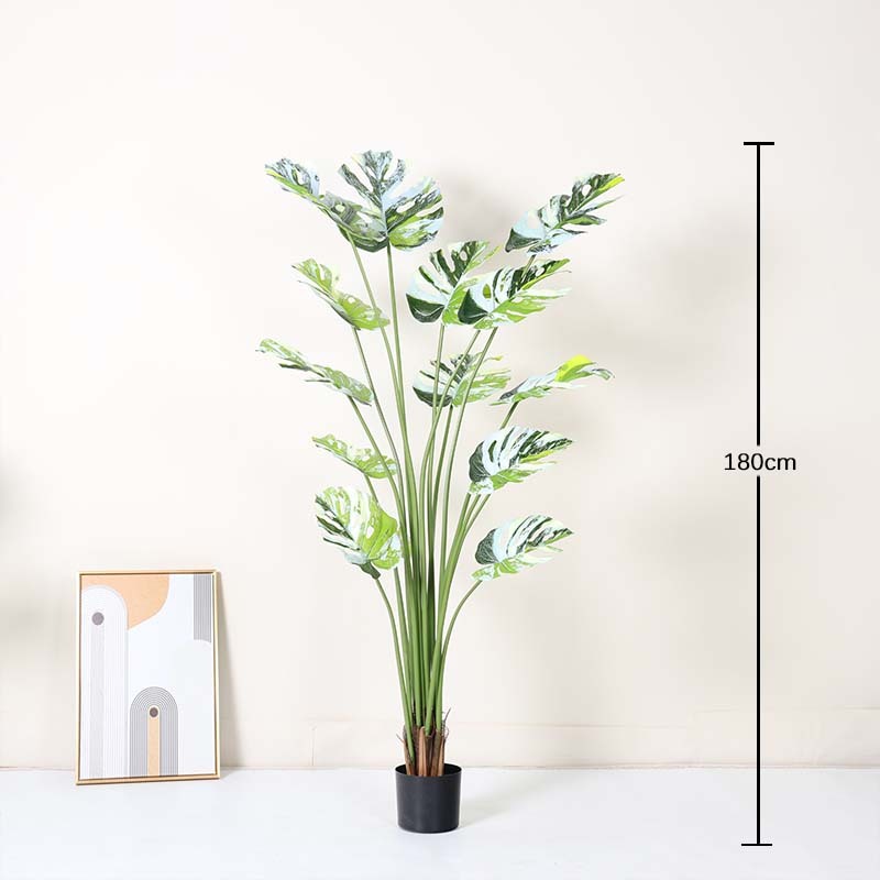 Vert 180cm
