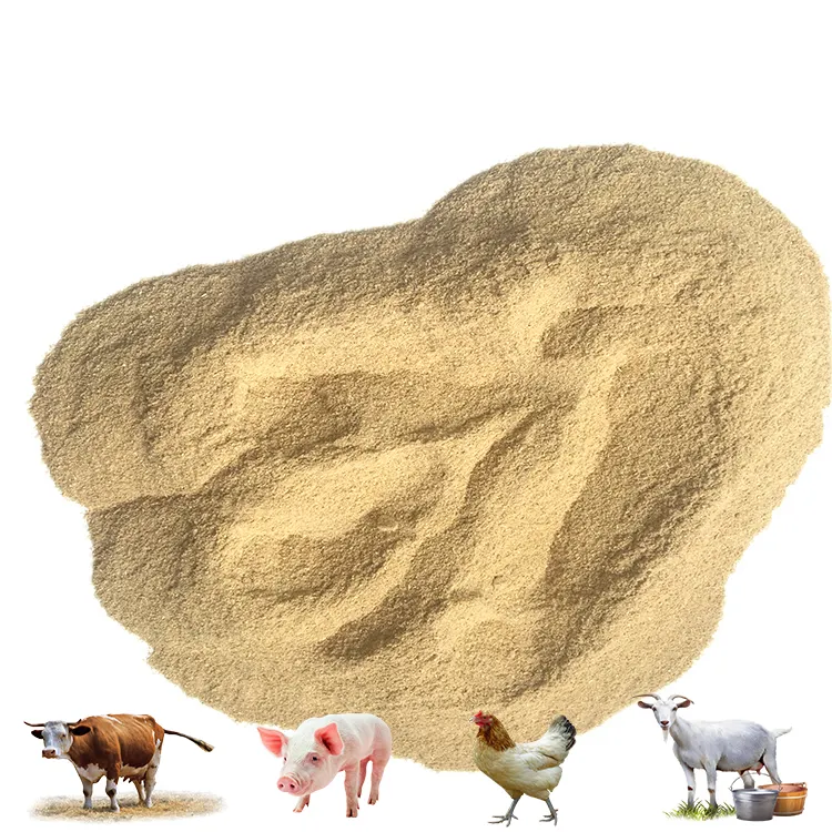 Autolyzed Yeast Inactive Yeast Fodder Yeast As Nutritional Supplement