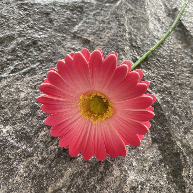 Rosa madeira