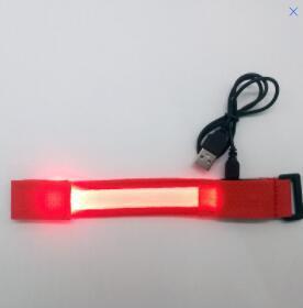 Rojo (modelo de carga)