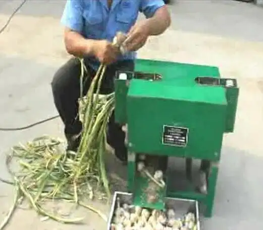 Automatic Fresh Garlic Leaf And Root Remover Machine Garlic Root Cut Machine price