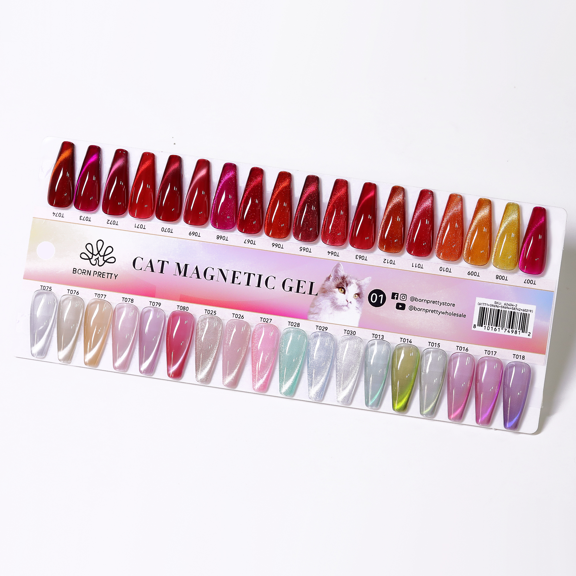 62434-2 (42 Colors Cat Magnetic Gel )