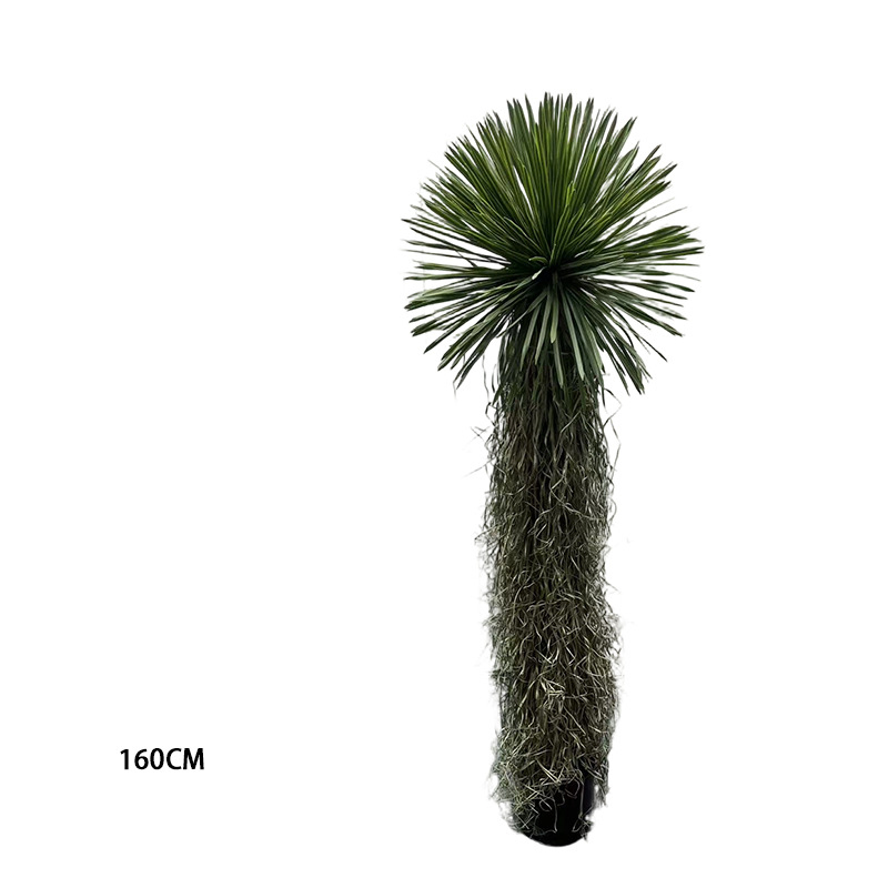 160cm