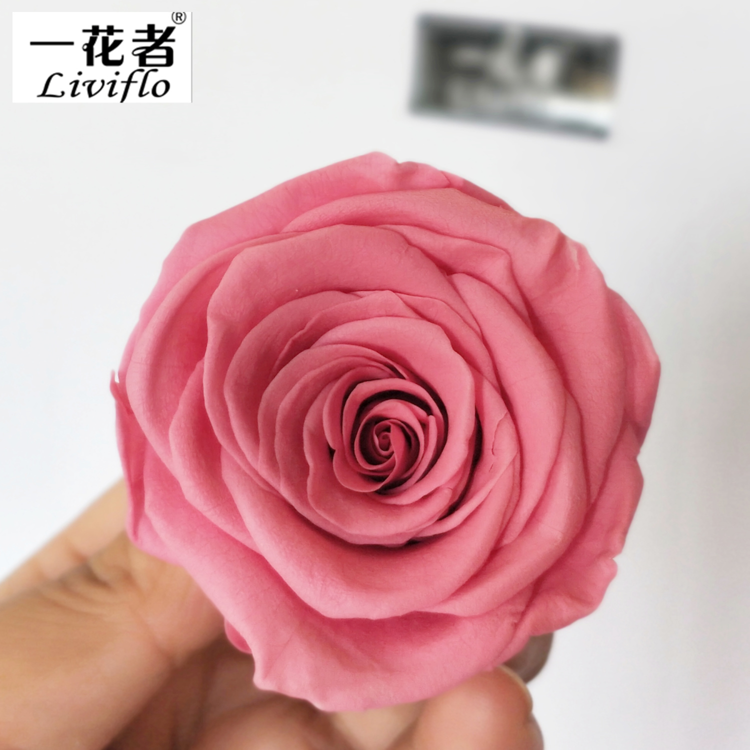 Rosa caliente