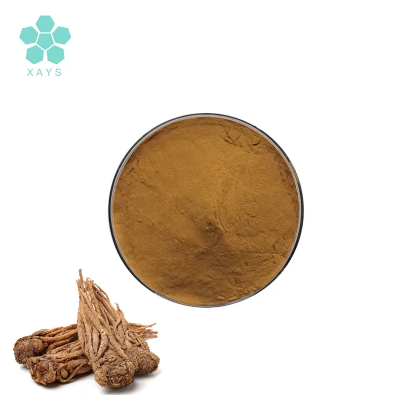 YoushuoBio Plant Extract Suppliers Angelica Sinensis Dong Quai Root Extract Powder