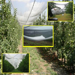 Rete barriera da giardino schermo di protezione a rete Fine copertura per piante a rete per uccelli rete antigrandine - Product Image 4