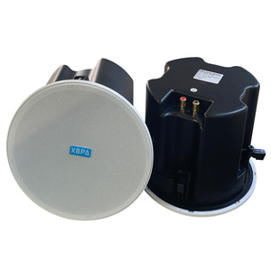 Multicanal Multi Room Powered Sonido estéreo Aplicación Controles WIIM Personalizado Hifi Activo Inalámbrico Bluetooth Wifi Altavoz de techo