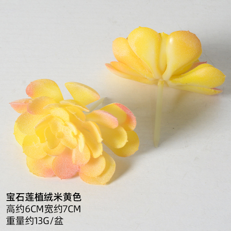 SKU-09 สคู-09