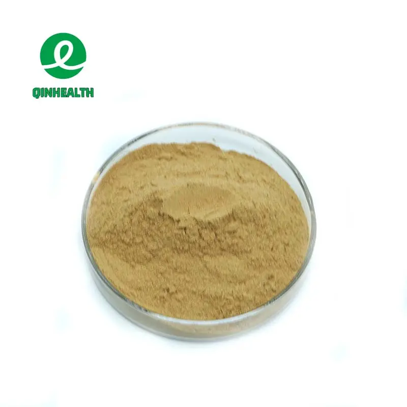 Hoge Kwaliteit Epimedium Extract Geile Geit Wiet Extract