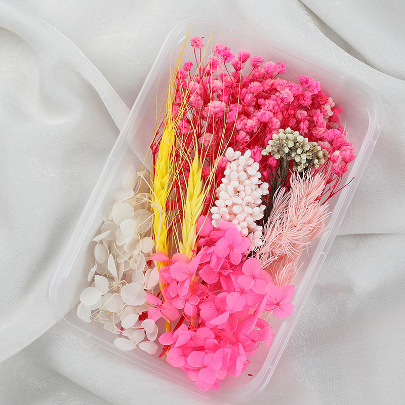 สีสัน-2