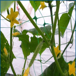 59&quot;x328' Green Colour Polypropylene Plastic Mesh <strong>Netting</strong> Plant <strong>Support</strong> <strong>Trellis</strong> Net for Vine Climbing Plants - Product Image 4