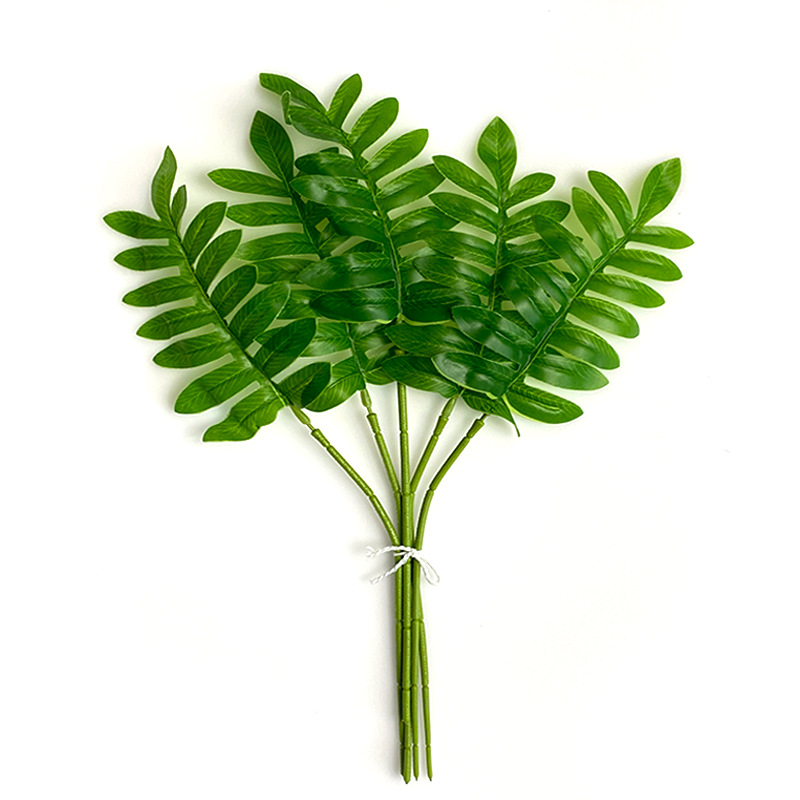 ใบคีลสีเขียว - 10 ใบต่อมัด