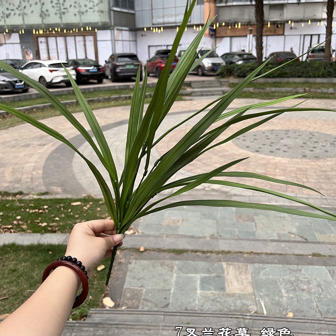 7-branch orchid grass-green