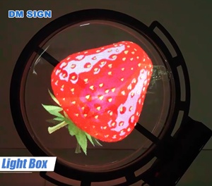 Doppelseitige LED-drehbare 3D-Programmierungs-Leuchtkasten LED-Außen anzeige box Werbung Dynamische Hologramm-Lüfter licht box mit Abdeckung - Product Image 1