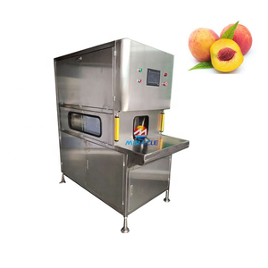Büyük kapasiteli 1000 kg/saat elma ve Mango soyucu çekirdek ekmek kullanımı için sebze çıkarma makinesi - Product Image 4