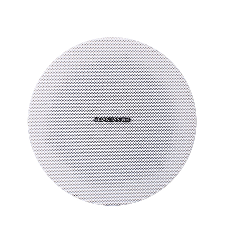 5.25-inch ceiling speaker for DS-927 white