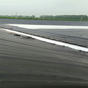 0.5mm 0.75mm 1mm 1.2mm 1.5mm tuz alan inşaat Tailings anti-sızıntı gölet Liner için HDPE geomembran levha - Product Image 6