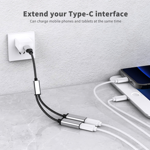 USB C到USB C母适配器分离器Y电缆aux电缆音频输入电缆扩展，用于Mac，Xbox一系列X/S，PS4，PS5，笔记本电脑 - Product Image 4