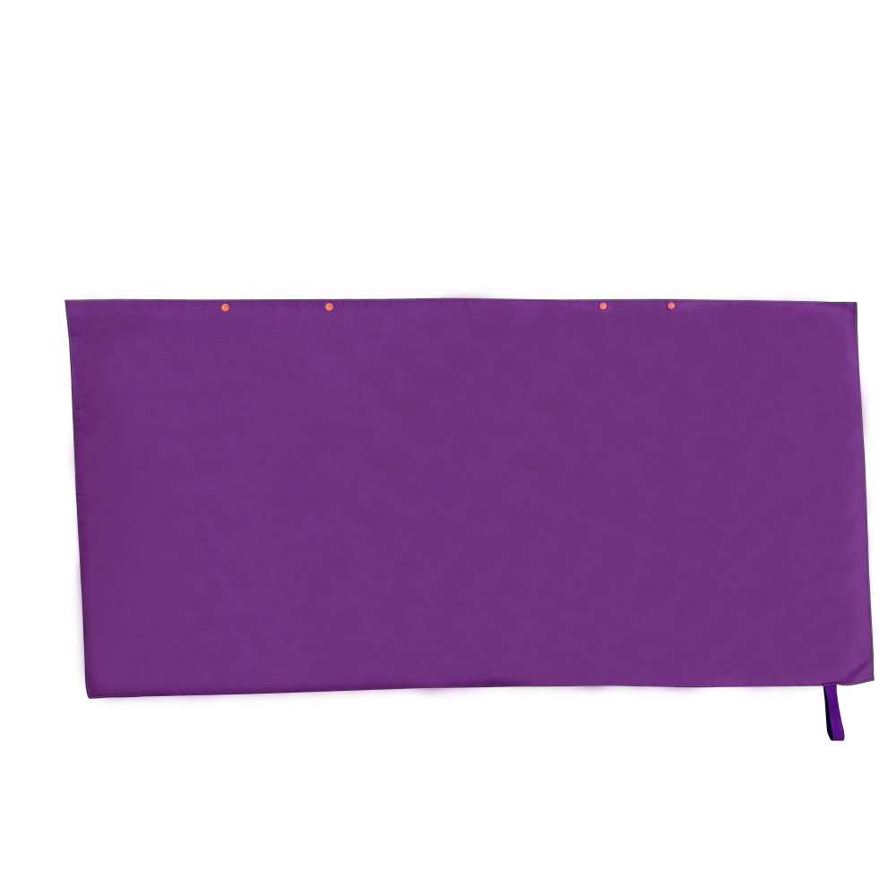 Viola