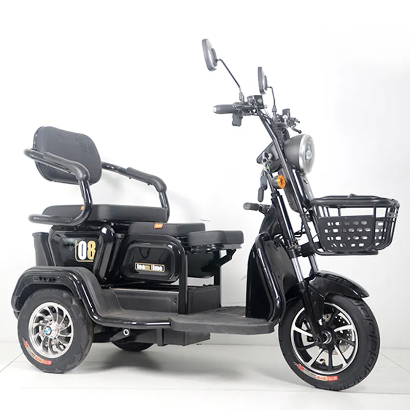EEC 48V20Ahブラシレススクーター電動大人用オートバイ鉛蓄電池3輪電動スクーター用