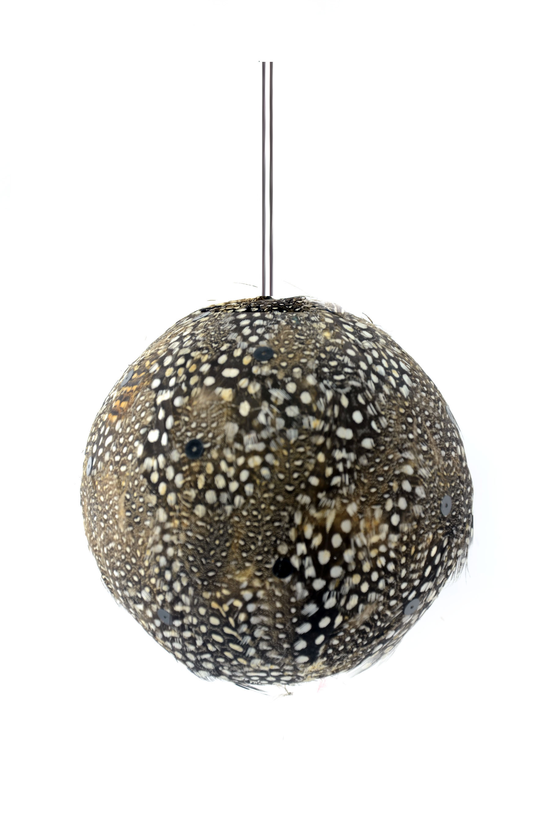 เครื่องประดับขนนก FA-11กินี