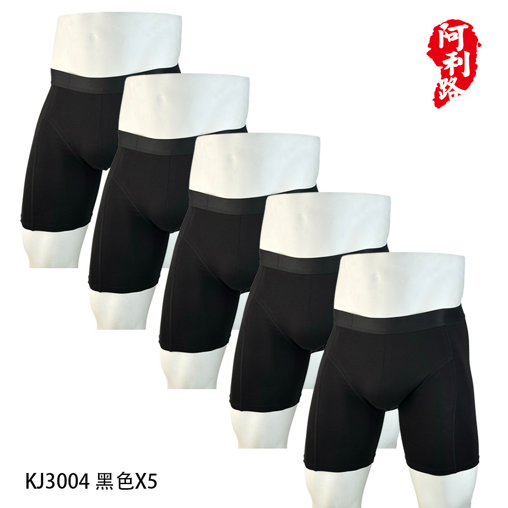 Kj3004 nero x5