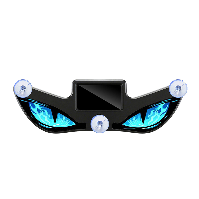 Y6