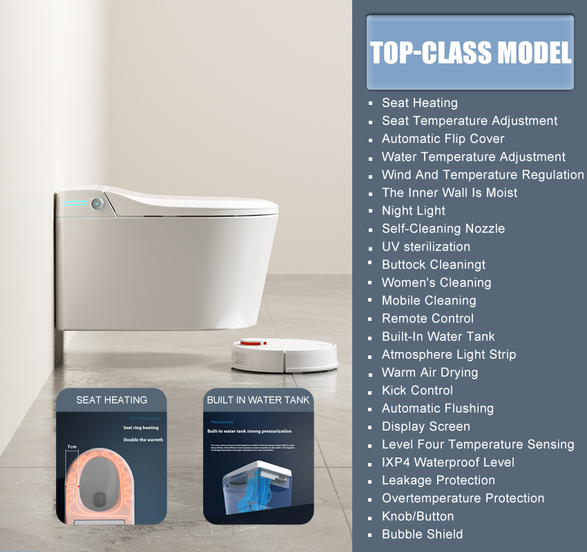 TOP-CLASS MODEL