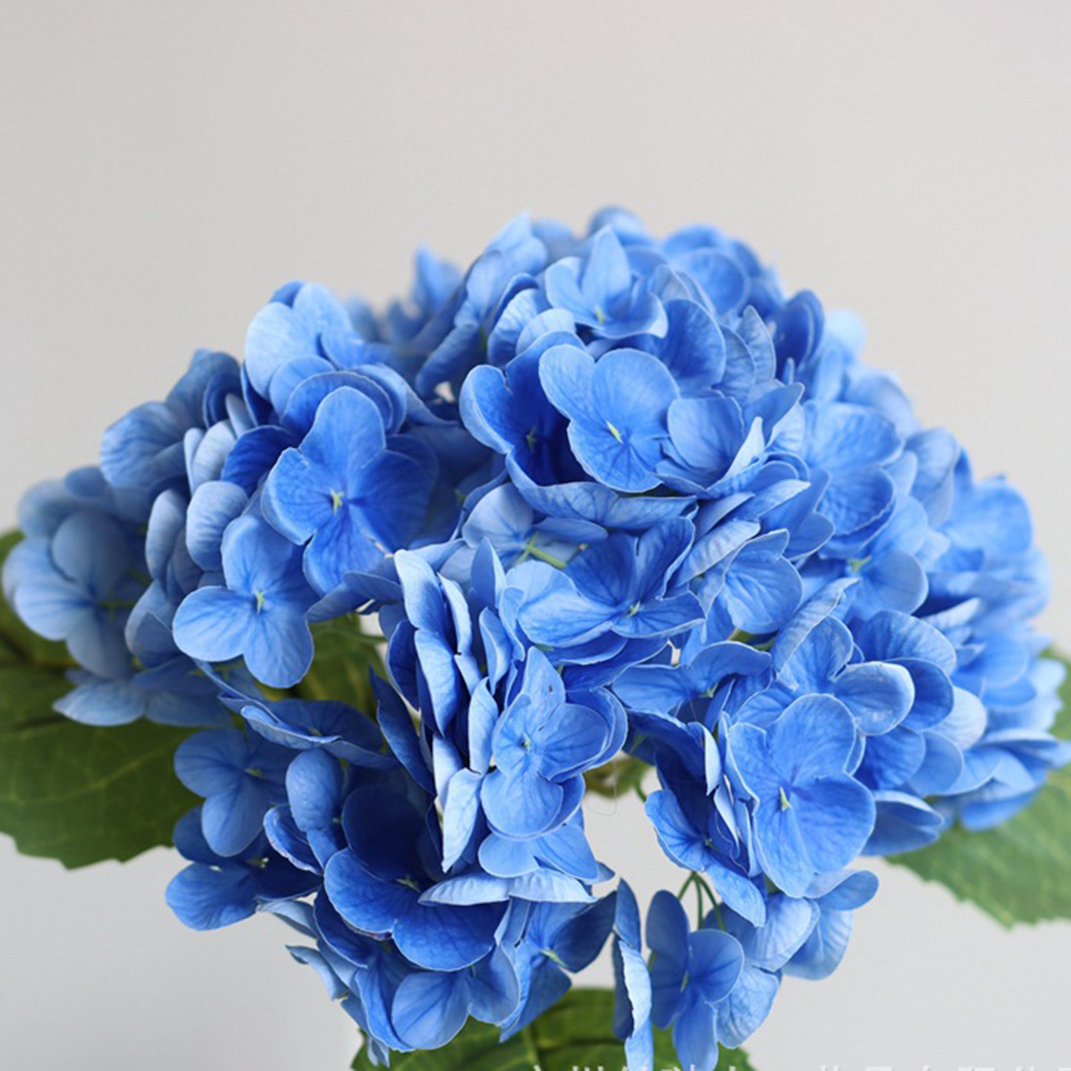 Bleu foncé