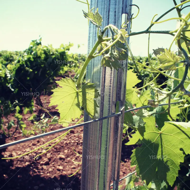 Pali/palo in metallo zincato a caldo per impieghi gravosi 200g/m2 per traliccio di vigneto