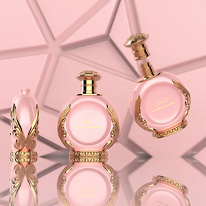2025 New Design High Quality Empty Perfume <strong>Bottles</strong> 30ml 50ml <strong>100m</strong> with Customized Package