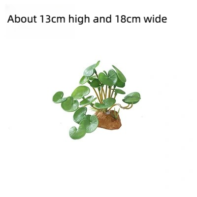 20 cm