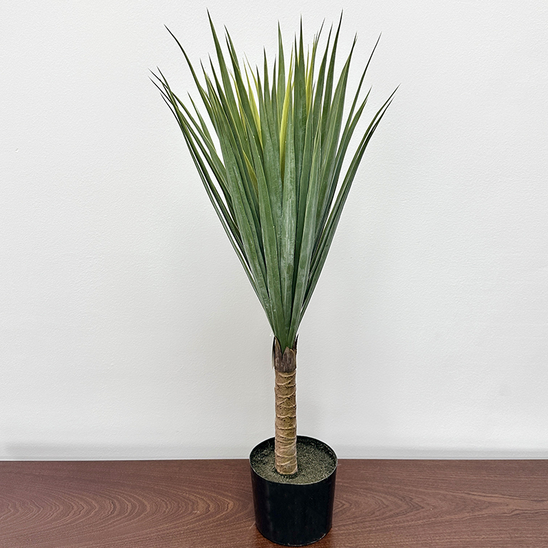 Dracena 85cm