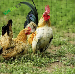 UV Block jungfräuliches PP Kunststoff landwirtschaft liches Vogel netz, 2cm * 2cm Loch größe extrudiertes Vogel nebeln etz für Trauben - Product Image 5