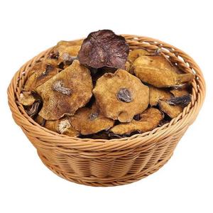 Şarkı Mo çin Suillus luteus kaygan <span class=keywords><strong>jack</strong></span> toplu kurutulmuş vahşi Suillus luteus <span class=keywords><strong>L</strong></span>.ex Fr. Satı<span class=keywords><strong>l</strong></span>ık gri mantarlar