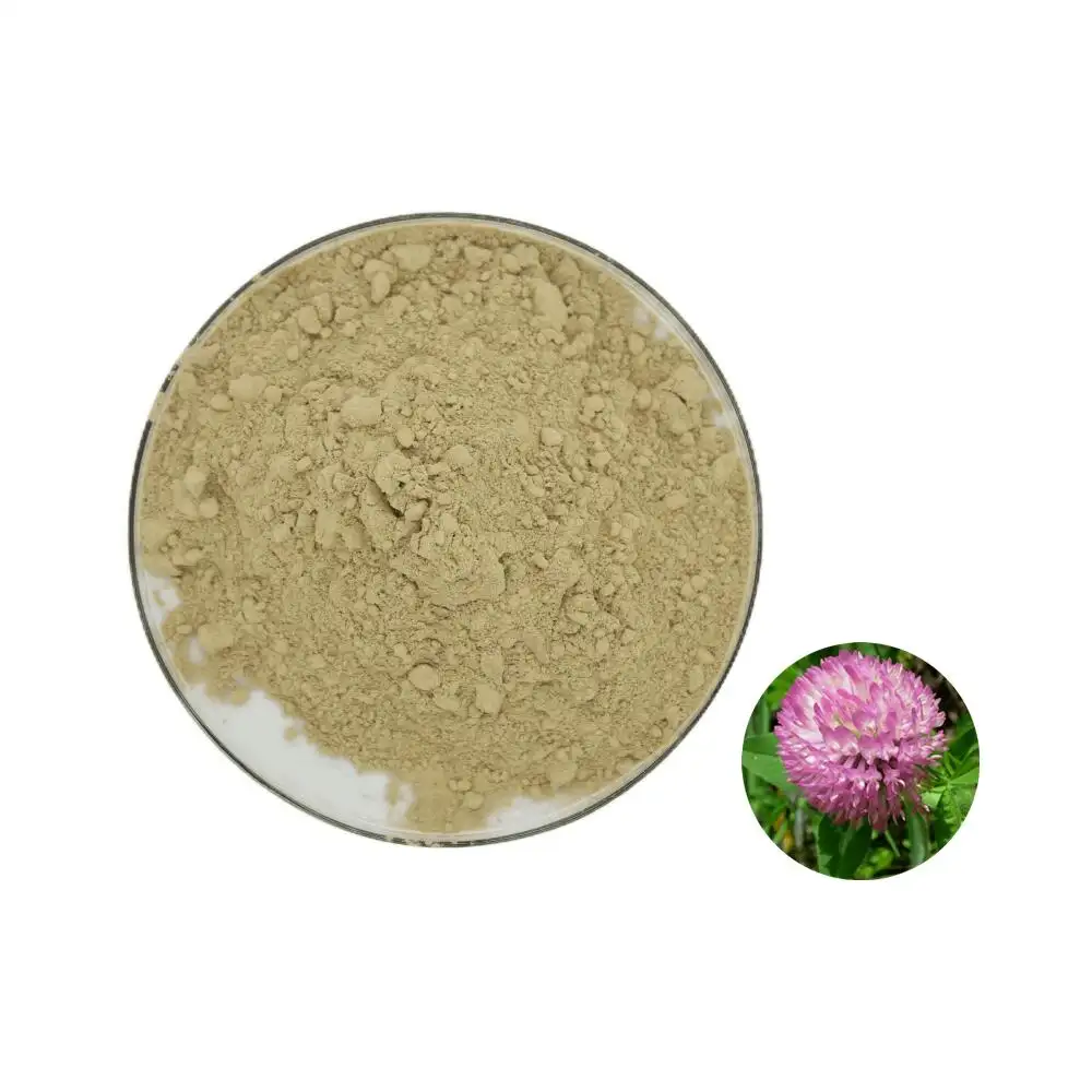 High quality Trifolium pratense Extract Red Clover Extract 40% Isoflavones