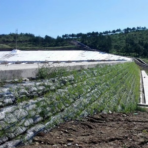 Reinforcement Biaxial Plastic PP Uniaxially Composite Stretched HDPE Geogrid Price - Product Image 6