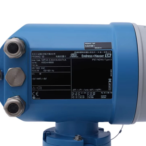 E+H Endress+Hauser Proline T-mass 65 Thermal Mass Flow <strong>Measurement</strong> <strong>System</strong> Operating Instructions - Product Image 1