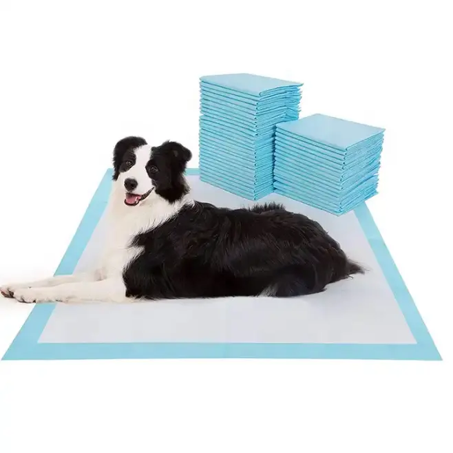 Absorbent Hot Sale Quality Waterproof Pet Urine Absorbent Pads for Toilet Training and Animal Care