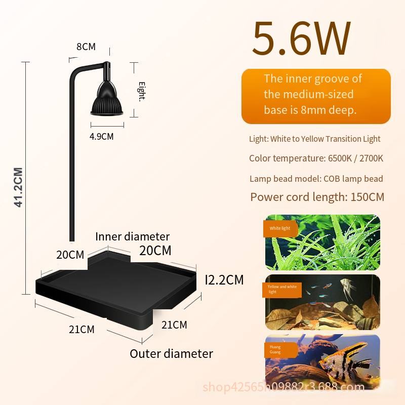 Base moyenne à gradation blanc-jaune 5,6 W