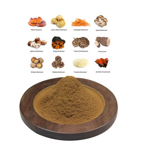OEM hỗn hợp mushruoom bột pha trộn maitake, Chaga, đông trùng hạ thảo, sư tử bờm, ganoderma Reishi Nấm hữu cơ nấm bột - Product Image 1