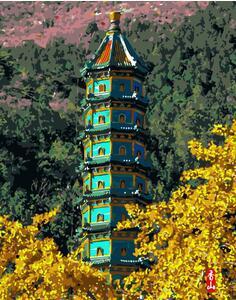 700 torre verde