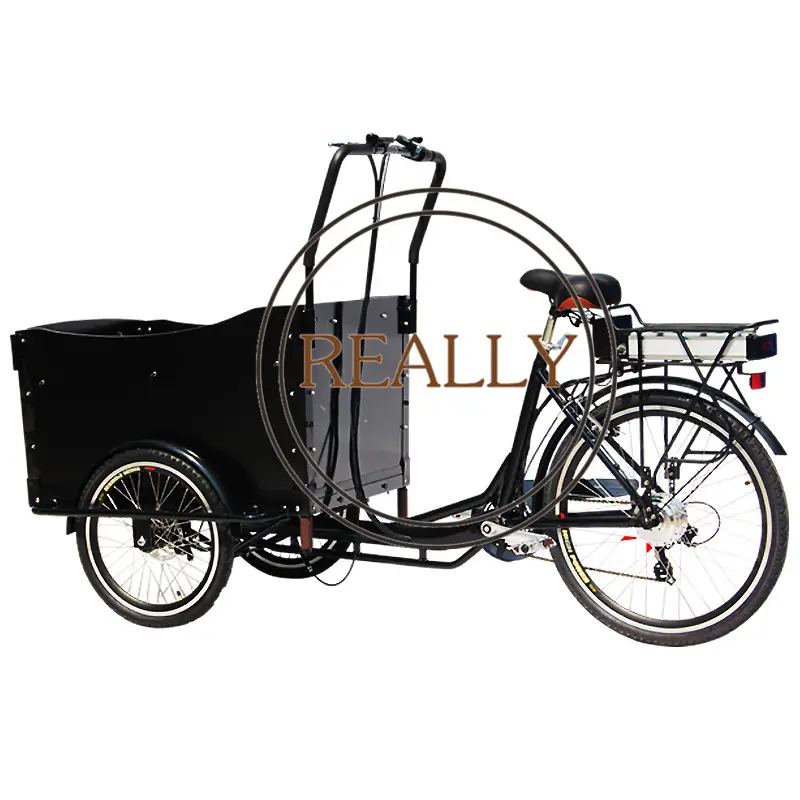 Rimorchi Cargo per biciclette 2024 per carichi elettrici Cargo Bike legno Cargo Bike Street