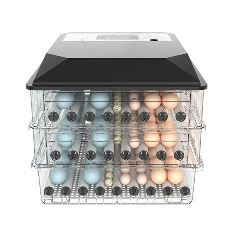 Automatic Incubators Egg Hatching Machine Quail Broiler Chicken Egg Incubator