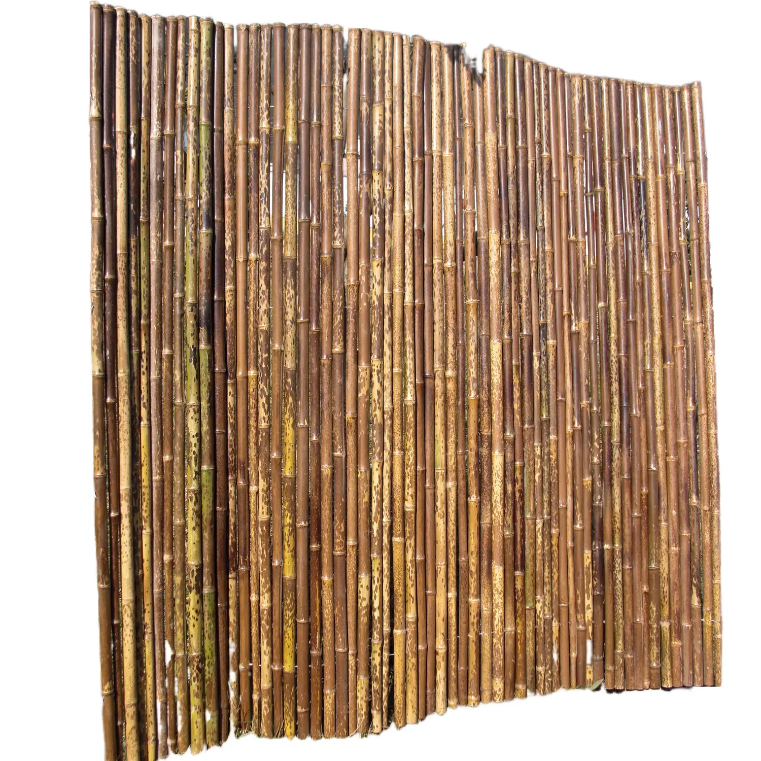 Clôtures en rouleau tachetées!! Spécial!!! La barrière en bambou de jardin de tigre ZY-2009 lambrisse le type en bois traité sous pression soumis à un traitement thermique de 3 pieds