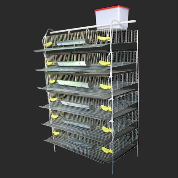 Cage de batterie de poulet/Cage de caille