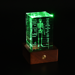 Bán Buôn Thấp Moq <span class=keywords><strong>3D</strong></span> <span class=keywords><strong>Laser</strong></span> Khắc Pha Lê Cube Pha Lê Thủ Công Y Tế Cơ Quan Bên Trong Cho Y Tế Trường Thiết Bị Giảng Dạy - Product Image 3
